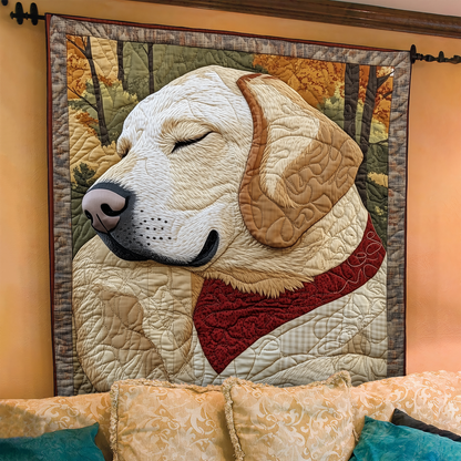 Fetch in the Fields Quilted Blanket NCU0DK1016