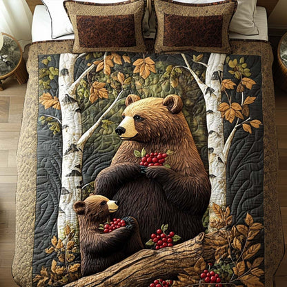 Bear Cozy 3-Piece Quilted Bedding Set NCU0NT10513