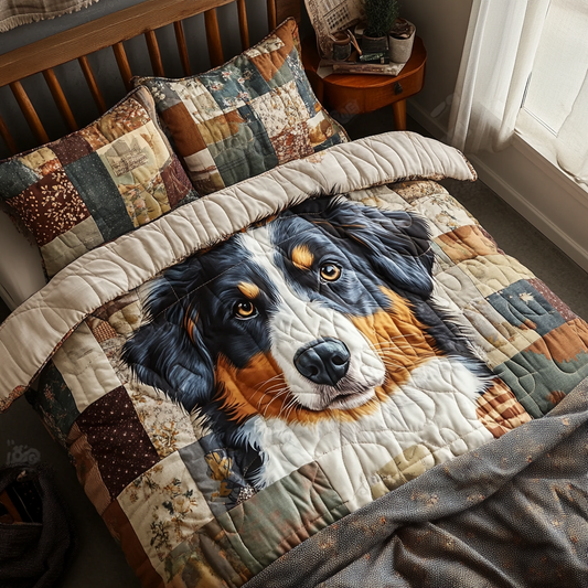 Boundless Aussie 3-Piece Quilted Bedding Set NCU0DV4317