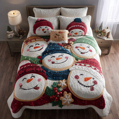 Cheerful Frost 3-Piece Quilted Bedding Set NCU0PT10510