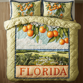 Crimson Family Haven 3-Piece Quilted Bedding Set NCU0HTT080