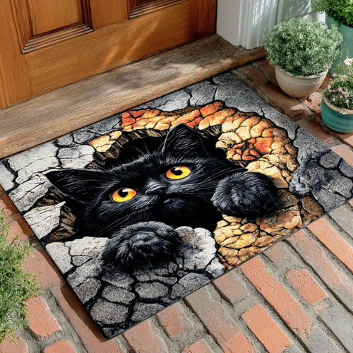 Crack Ground Cat Doormat NCU0TD2363