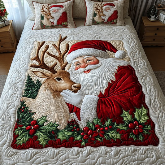 Festive Fun 3-Piece Quilted Bedding Set NCU0VH1294