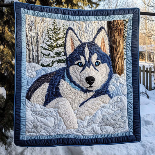 Frosty Blue Eyes Quilted Blanket NCU0NT1766