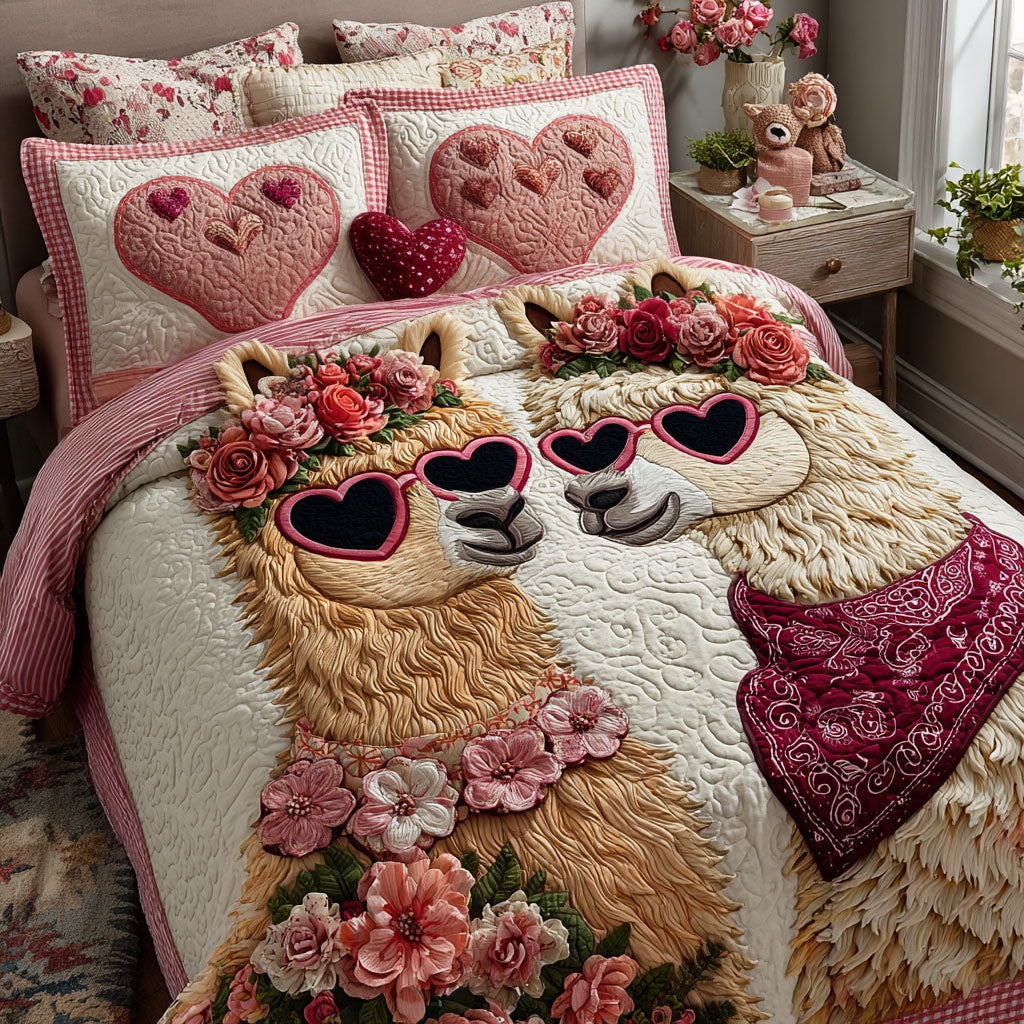 Gentle Souls 3-Piece Quilted Bedding Set NCU0NT11764