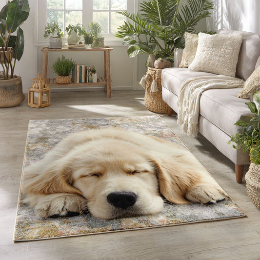 Golden Glow Nap Area Rug NCU0PT9376
