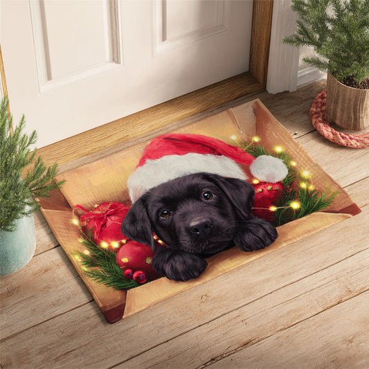 Noel Paws Doormat NCU0TV617