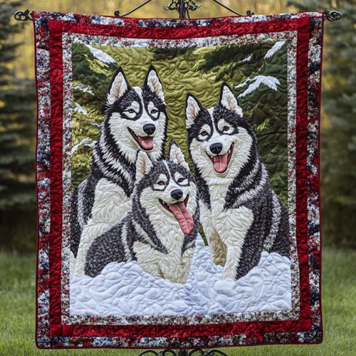 Silver Paws Quilted Blanket NCU0NT2756