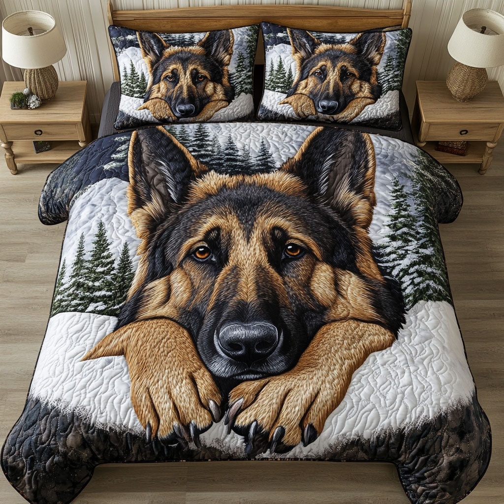 Snowy Gaze 3-Piece Quilted Bedding Set NCU0NT5354