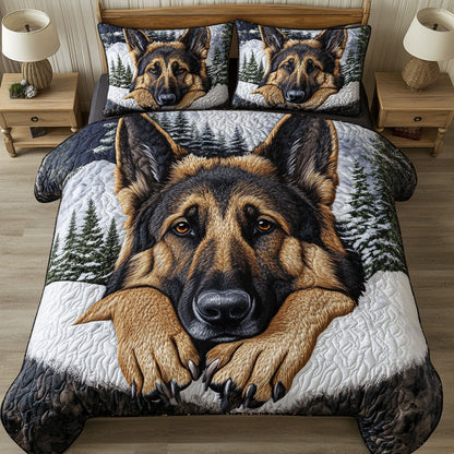 Snowy Gaze 3-Piece Quilted Bedding Set NCU0NT5354