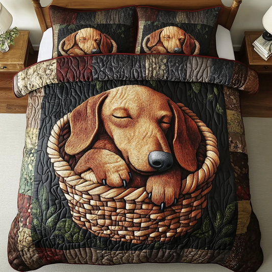 Snuggle Nest 3-Piece Quilted Bedding Set NCU0VH2198