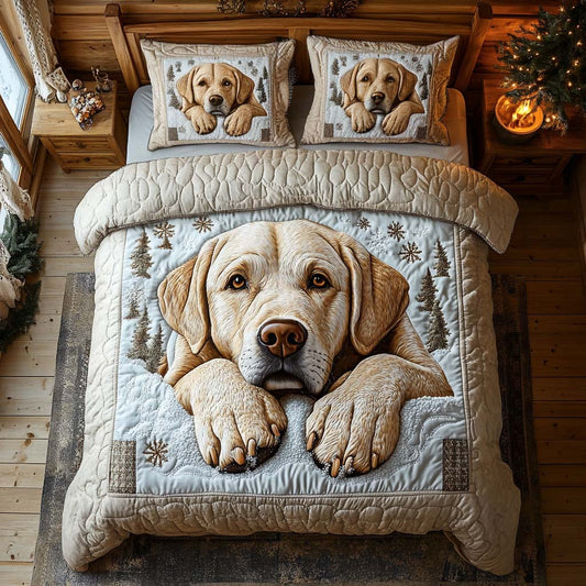 Warm Embrace 3-Piece Quilted Bedding Set NCU0XD1554