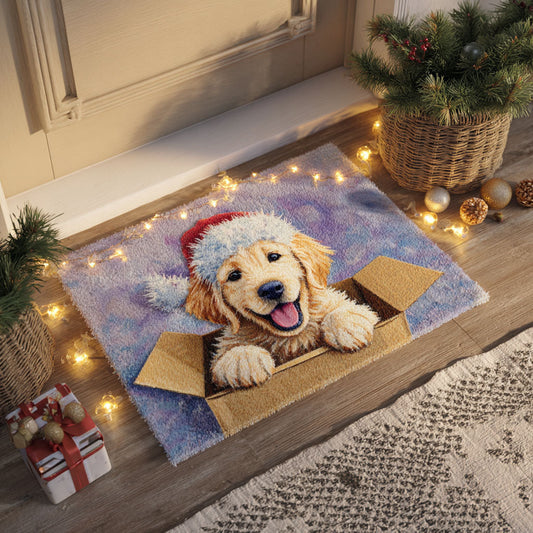 Winter Glow Doormat NCU0TV610